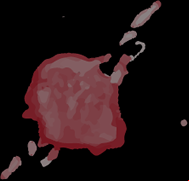 Gota de vinho 1